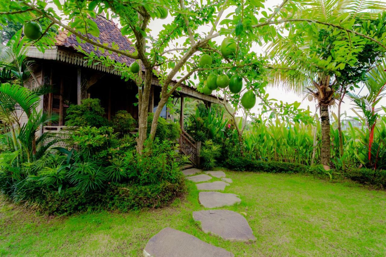 Nauna Villa Ubud Exterior photo