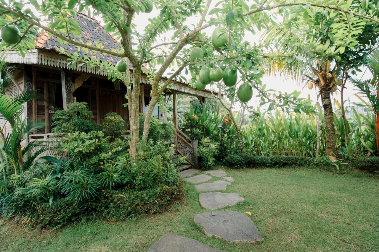 Nauna Villa Ubud Exterior photo